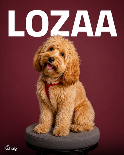 Loza